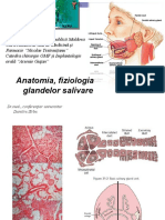 Anatomia, fiziologia glandelor salivare