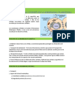 TEMA 2 BC - Estructura I Funció MP