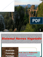 Sistemul Nervos Vegetativ