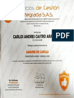 Amarres de Cargas