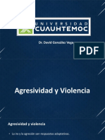 2.4 Agresividad y Violencia