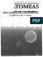 Diatomeas (Licea)