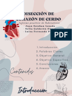 Informe Disección Cerdo