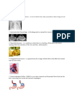 Terminologies 2