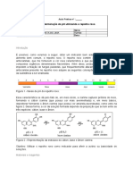 Experimento 1 Ano - Repolho Roxo (Indicador Ácido-Base)