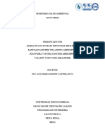 Informe Seminario Salud Ambiental