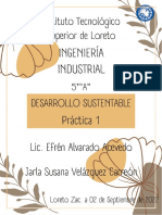 Práctica 1 - Desarrollo Sustentable