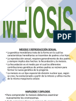 Meiosis Grupo 1 Biología