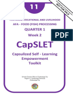 CapSLET FFP 11 03