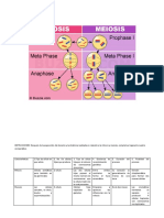 Mitosis y Meiosis Cdmp#20