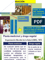 Drogas Vegetales