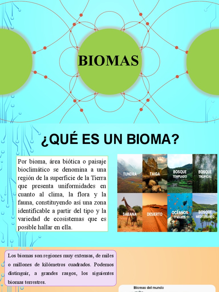 Principales Biomas de la Tierra | PDF | Clima templado | Selva