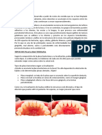 Placa bacteriana: causas y tipos en