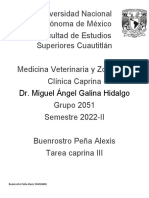 Tarea 1 Clinica Porcina Buenrostro Peña Alexis 314026604