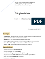 Cours 15 - Mitochondries