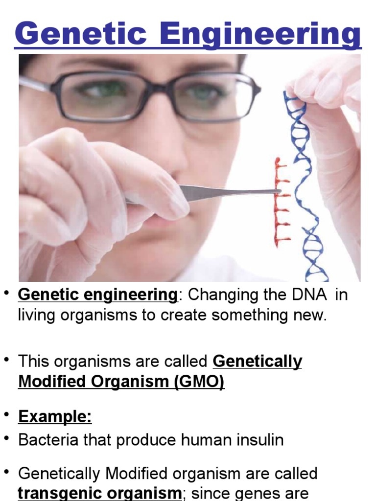 GMO PowerPoint - Using in Class | PDF | Cloning | Ploidy