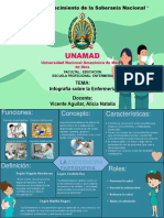Infografia Sobre Enfermeria Huaylas Valeria