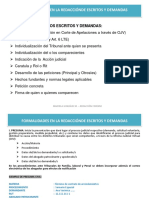 FORMALIDADES DE ESCRITOS Y DEMANDAS_Clase(1)