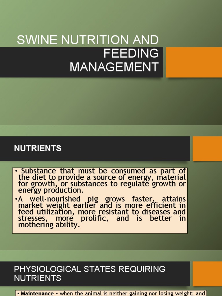 Ans143 Swine Nutrition and Feeding Management PDF Nutrients