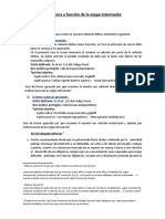 Estructura y Función de La Etapa Intermedia: 1) Homicidio Culposo Agravado