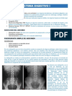 Sistema Digestivo RX Parte 1