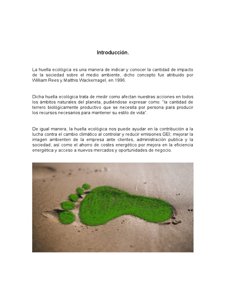 La Huella Ecológica y su Importancia | PDF | Gases de efecto ...