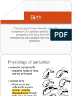 Birth Process in Mammals