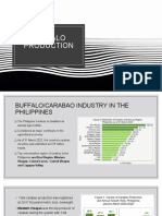 ANS145 - Buffalo Production