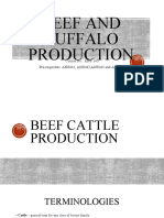 ANS145 - Beef Cattle Production