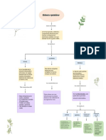 Mapa Conceptual