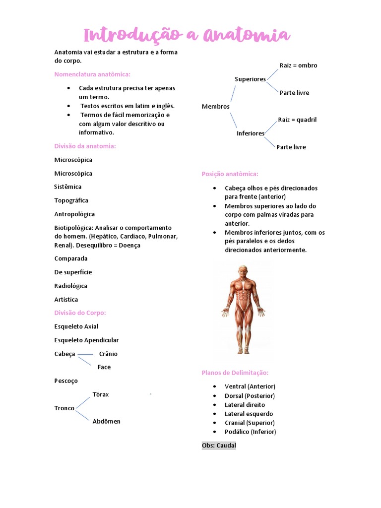 Anatomia | PDF | Anatomia | Morfologia (Biologia)