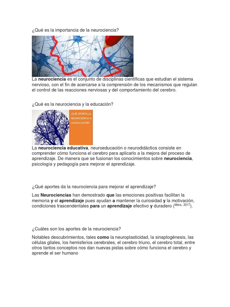 Qué Es La Importancia de La Neurociencia | PDF | Aprendizaje | Cerebro