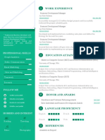 Professional Best Resume Template 2020
