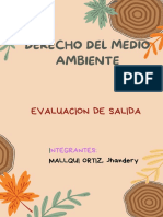 LEY GENERAL DEL MEDIO AMBIENTE EN PERÚ: OBJETIVOS, ROL DEL MINISTERIO Y LIMITACIONES A LOS DERECHOS