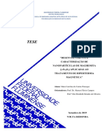 Caracterização de Nanopartículas de Maghemita O) Aplicadas Ao Tratamento de Hipertermia Magnética
