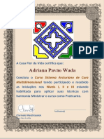 Sistema Arcturiano - Nivel 3 - Certificado - ADRIANA PAVAO WADA