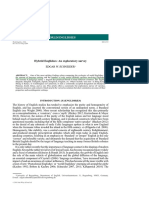 11.21 Schneider2016 - Hybrid Englishes An Exploratory Survey