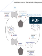 Mortel- 12 STEM 2- DLP 3 - ATP ADP Cycle (1)