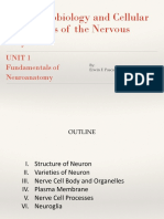 Neurobiology and Cellular Elements of the Nervous System