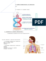 Appareil Cardio Et Exercices (Appareil Respiratoire)