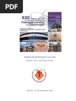 Download Apuntes Curso de Patologia Vulvar by pekepau SN61366323 doc pdf