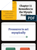 Kelompok 3 - Remedies To The Myopia Problem