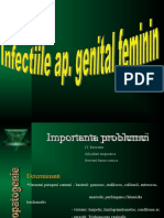 Curs 8 Seria E Infectiile AP Genital Fem.