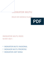 Indikator Mutu RSDS 2019