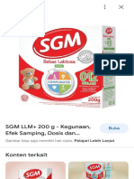 SGM LLM - Penelusuran Google
