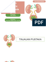 Benign Prostatic Hyperplasia (BPH) : DR - Dr.yevri Zulfiqar, SP.B, Sp.U (K)