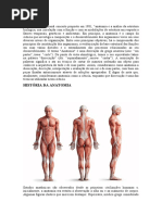 Aula 5 - Conceito de Normal, Variação Anatômica, Anomalia e ...