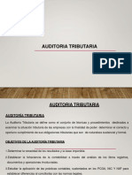 Auditoria Tributaria Objetivo - Alcance-Etapa