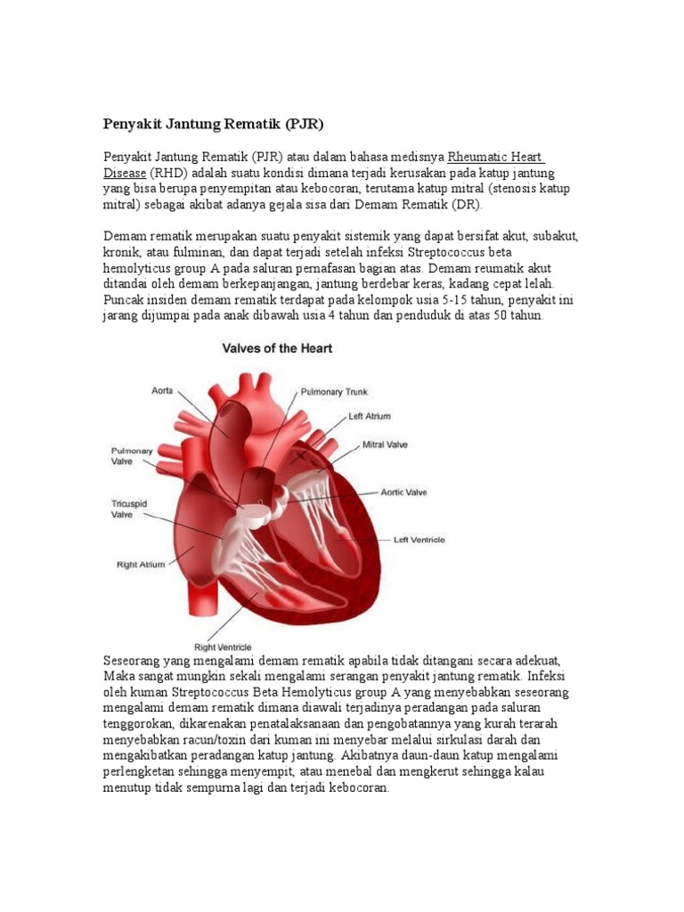 Penyakit Jantung Rematik  Penyakit Jantung Rematik