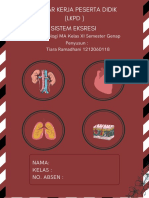 Lembar Kerja Ulasan Buku Sekolah Dasar Strip Seru Warna-Warni